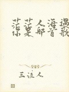 茫茫人海遇见了你是哪首歌的歌词