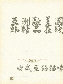 亚洲欧美国产日韩精品在线