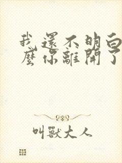 我还不明白为什么你离开了我是什么歌