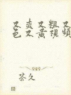 又爽又粗又猛又色又黄视频