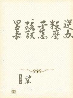 男孩子叛逆期家长该怎么办