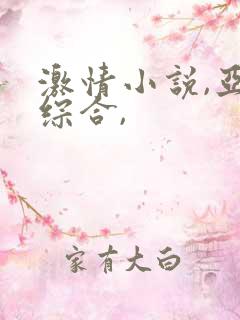 激情小说,亚洲综合,