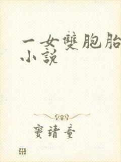 一女双胞胎男主小说