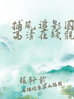 捕风追影国语版高清在线观看