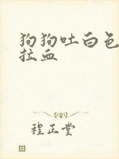 狗狗吐白色粘液拉血