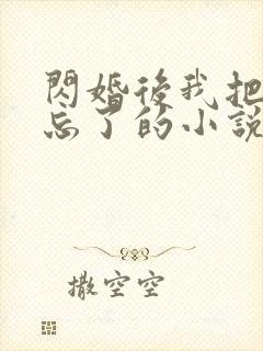 闪婚后我把老公忘了的小说免费阅读