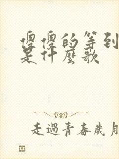 傻傻的等到天亮是什么歌