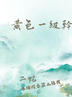 黄色一级干逼片