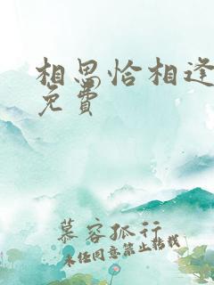 相思恰相逢短剧免费