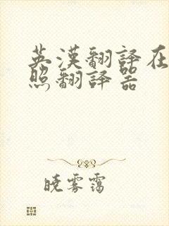 英汉翻译在线拍照翻译器