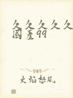 久久久久久精品国产99