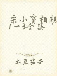 宋小宝相亲小品1一3全集