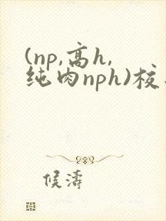 (np,高h,纯肉nph)校园