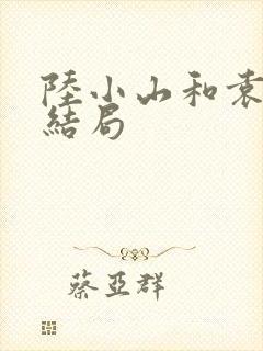 陆小山和袁帅的结局