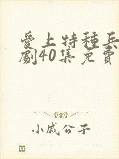 爱上特种兵电视剧40集免费观看