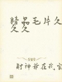 精品毛片久久久久久