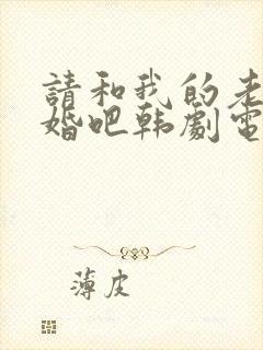 请和我的老公结婚吧韩剧电视剧全集