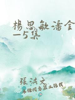 杨思敏潘金莲1—5集