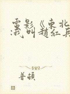 电影《东北往事:我叫赵红兵》