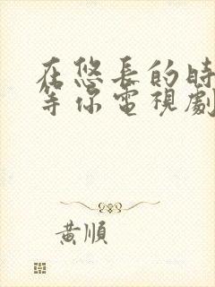 在悠长的时光里等你电视剧免费观看