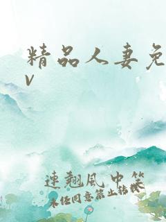 精品人妻免费av