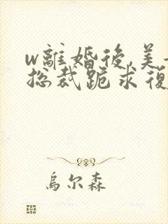 w离婚后,美女总裁跪求复婚》