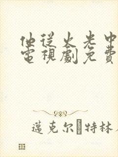 他从火光中走来电视剧免费播放全集