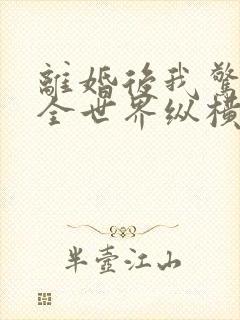 离婚后我惊艳了全世界纵横小说