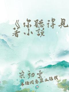 《你听得见》原著小说