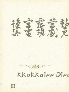 后宫露营动漫全集电视剧免费播放