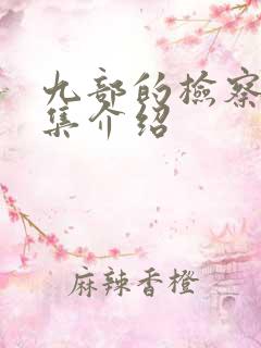 九部的检察官分集介绍