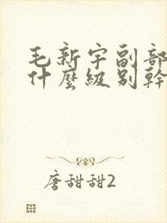 毛新宇副部长是什么级别干部