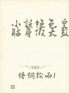 小说绝色皇后的贴身假太监下载