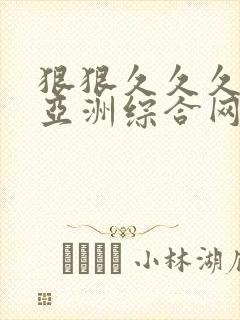 狠狠久久久久久亚洲综合网