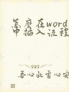 怎么在word中插入流程图