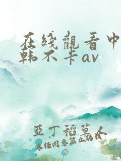 在线观看中文日韩不卡av