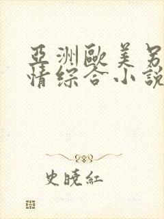 亚洲欧美另类激情综合小说