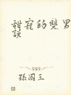 甜宠的双男主小说