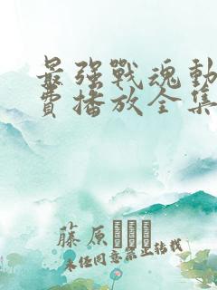 最强战魂动漫免费播放全集