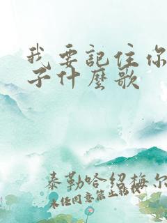 我要记住你的样子什么歌