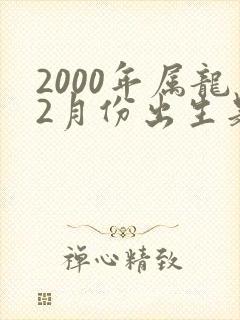 2000年属龙2月份出生是什么命