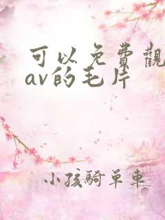 可以免费观看的av的毛片