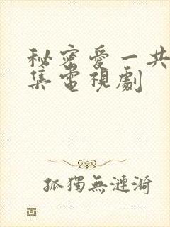 秘密爱一共多少集电视剧