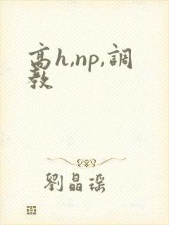 高h,np,调教