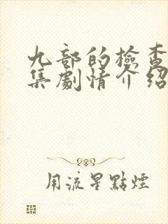 九部的检查官分集剧情介绍