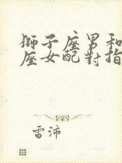 狮子座男和摩羯座女配对指数