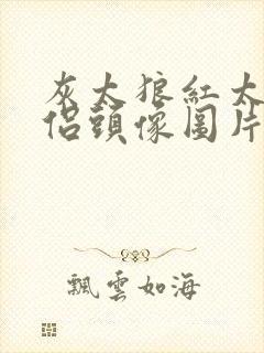 灰太狼红太狼情侣头像图片高清