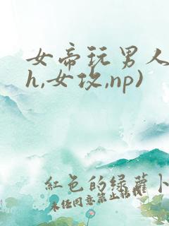 女帝玩男人(高h,女攻,np)