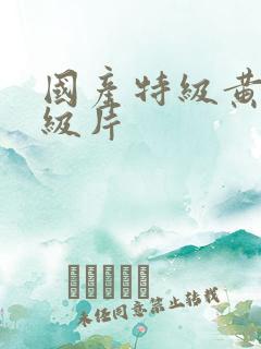 国产特级黄色一级片