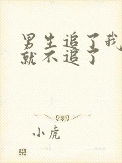 男生追了我三天就不追了